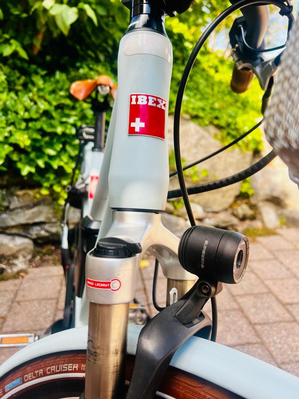 Ibex Biciclette: Ebike Ibex eAvantgarde – Usato da Hergiswil NW venduto da Tinu35 3