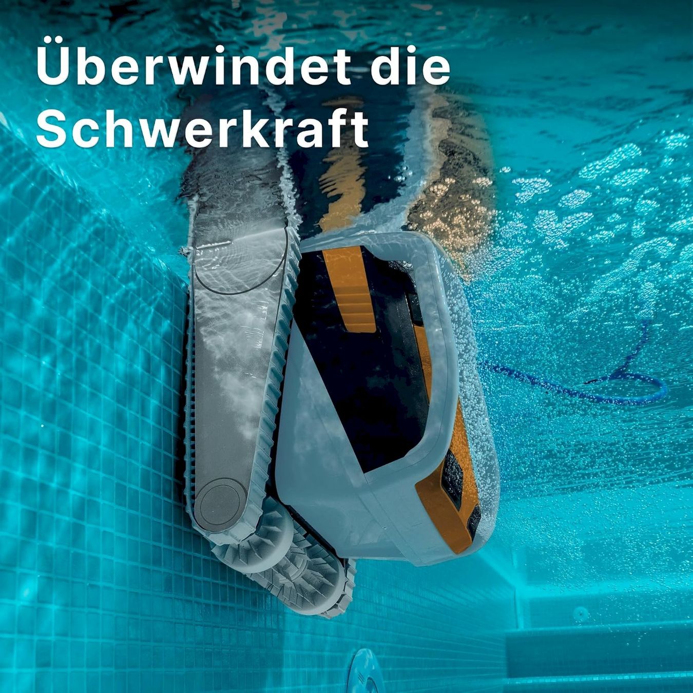 Accessori per Piscine: Dolphin E60i Poolroboter – Nuovo e nell'imballaggio originale da Bottighofen venduto da zaap 2