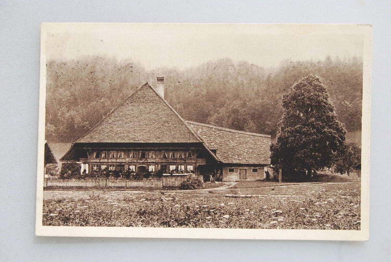 Cartoline postali: AK Berner Bauernhaus 1917 – Usato da Rüfenacht BE venduto da Toro06