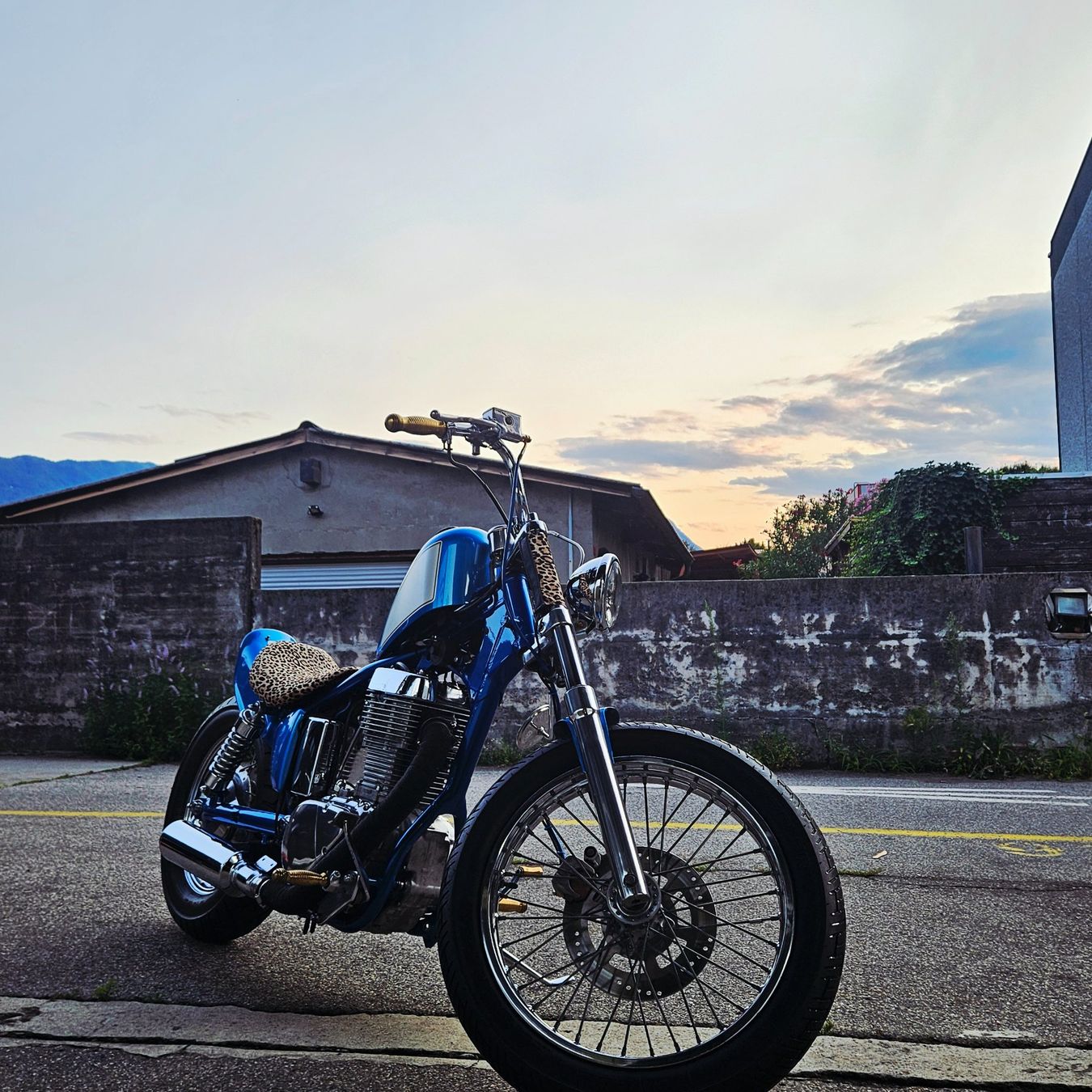 Suzuki Chopper: Suzuki LS 650 savage – Usato da S. Antonino venduto da biscottogarage 3
