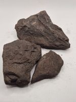 Fossiles, versteinertes Holz, mit Quarz xx; Java, Indonesien
