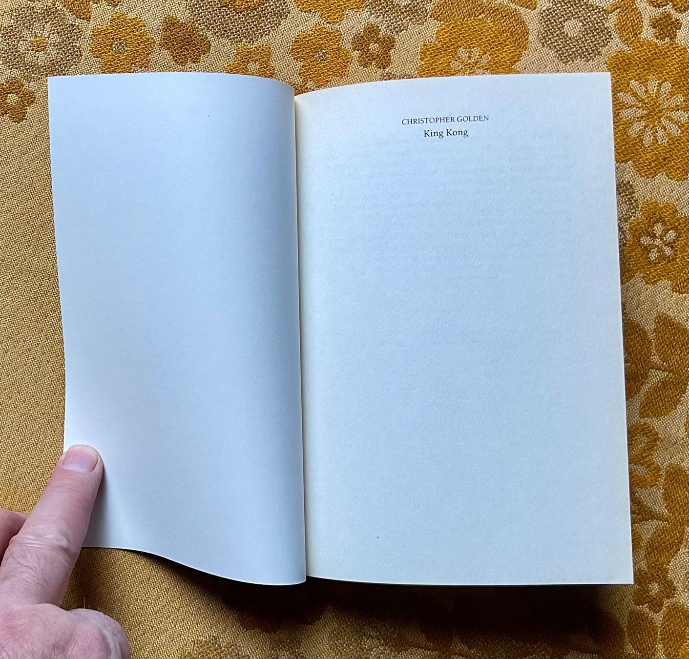 Libri: Buch King Kong von 2005 – Usato da Endingen venduto da nathan05 2