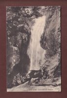 Cascade du BERARD - Bouquetin