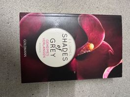 E.L. James, Shades of Grey, Geheimes Verlangen