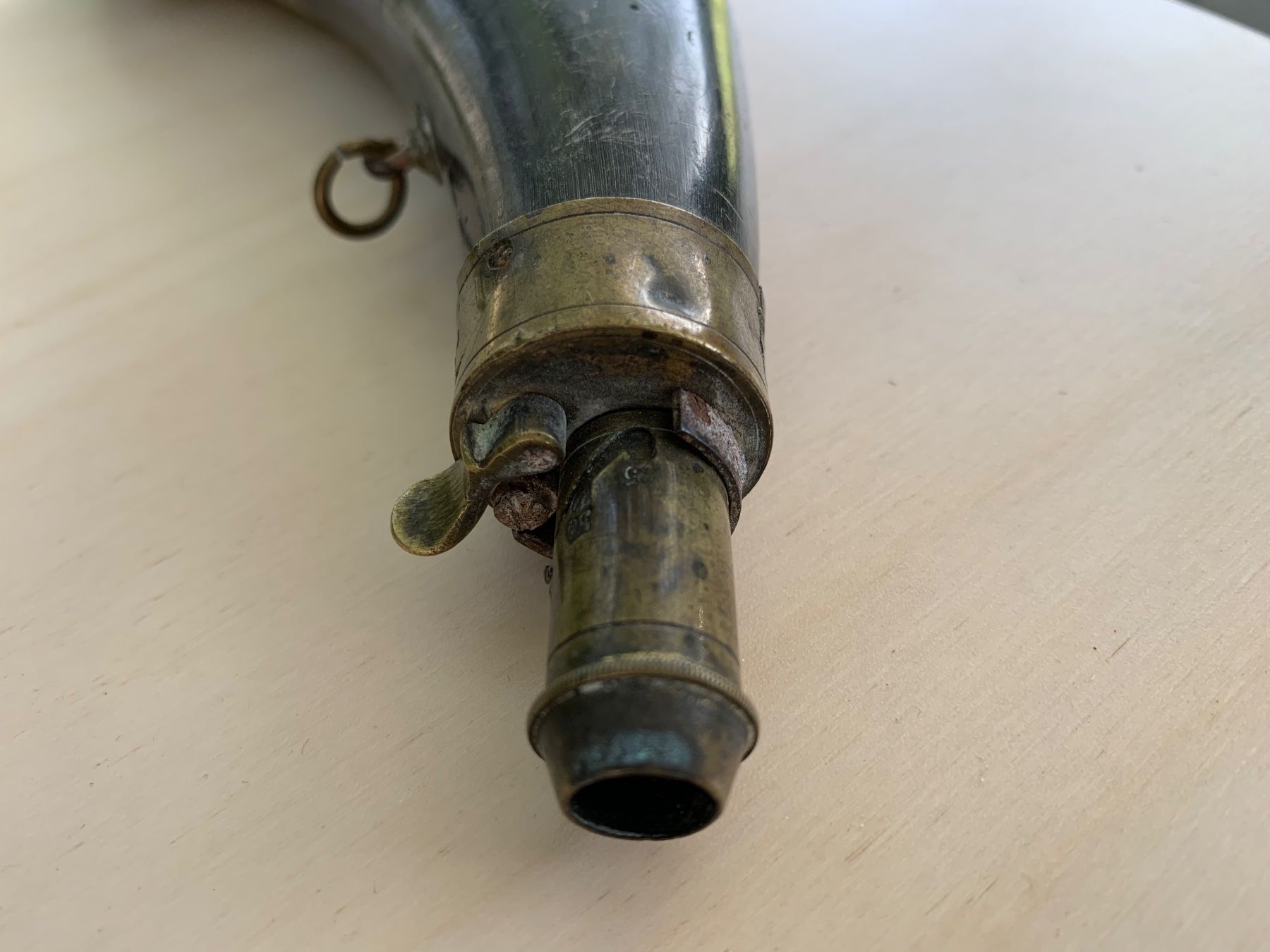 Il mondo degli animali: antikes Pulverhorn – Usato da Feldbach venduto da Olive1 7
