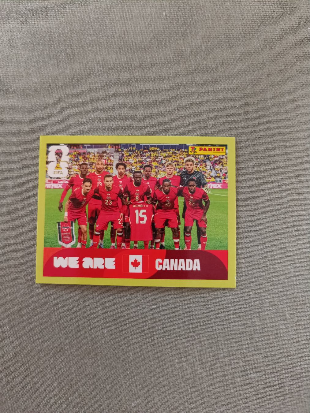 Panini Cartes à collectionner: Panini CAN13 – Neuf avec emballage d'origine à Muri AG par Puschelknuffel
