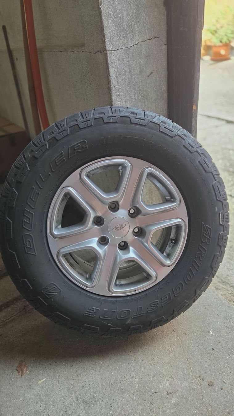 Ford Cerchioni: Ford Ranger 4 Stk. Felgen – Usato da Ebersol venduto da Forstholz88