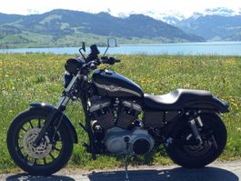 HARLEY-DAVIDSON XL 1200 S Sportster (100th Anniversary)