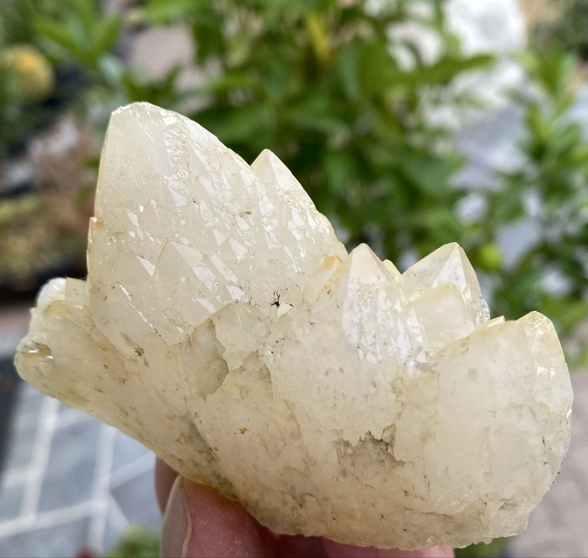 Mineralien & Heilsteine: Schöner Kaktusquarz – Gebraucht aus Selzach von 321compac 4