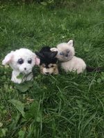 Plüschtier Katze und 3 Hunde Plüschtier 