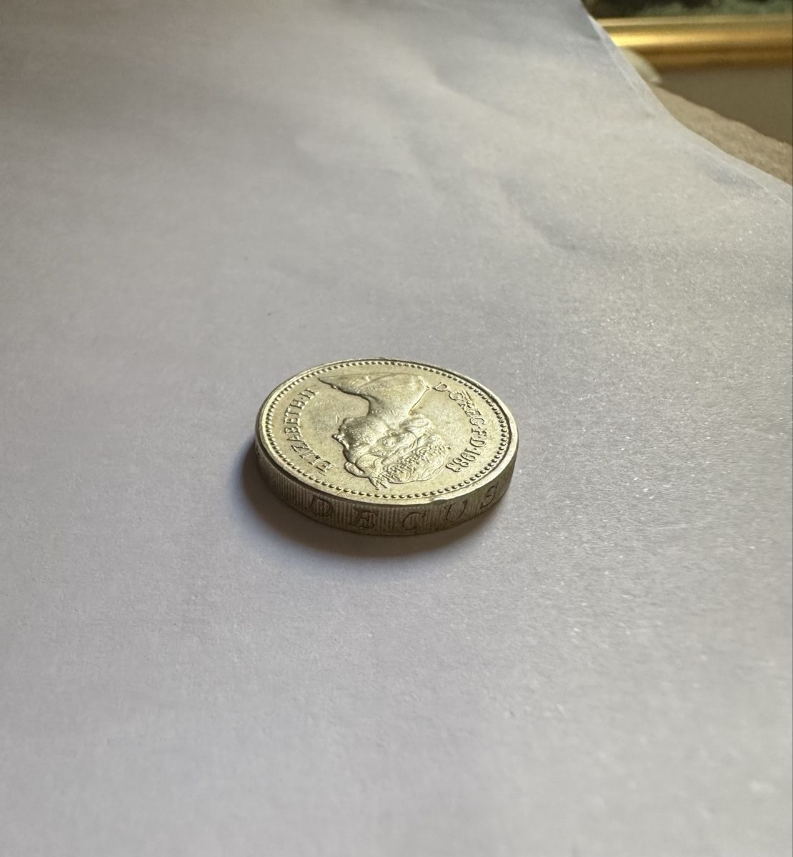 Tutti le monete: One pound 1983 | Decus et Tutamen – Usato da Gampelen venduto da theboywhoworks 5