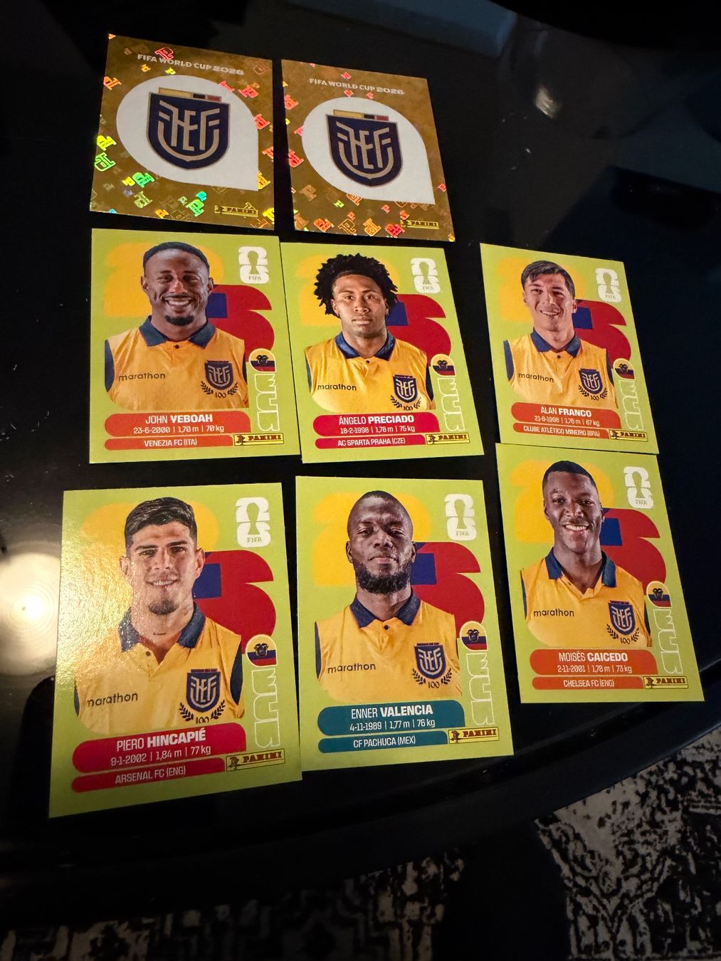 Panini Carte collezionabili: Panini World Cup 26 ECU 8Stk – Usato da Wettingen venduto da NickInc