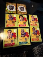 Panini World Cup 26 ECU 8Stk