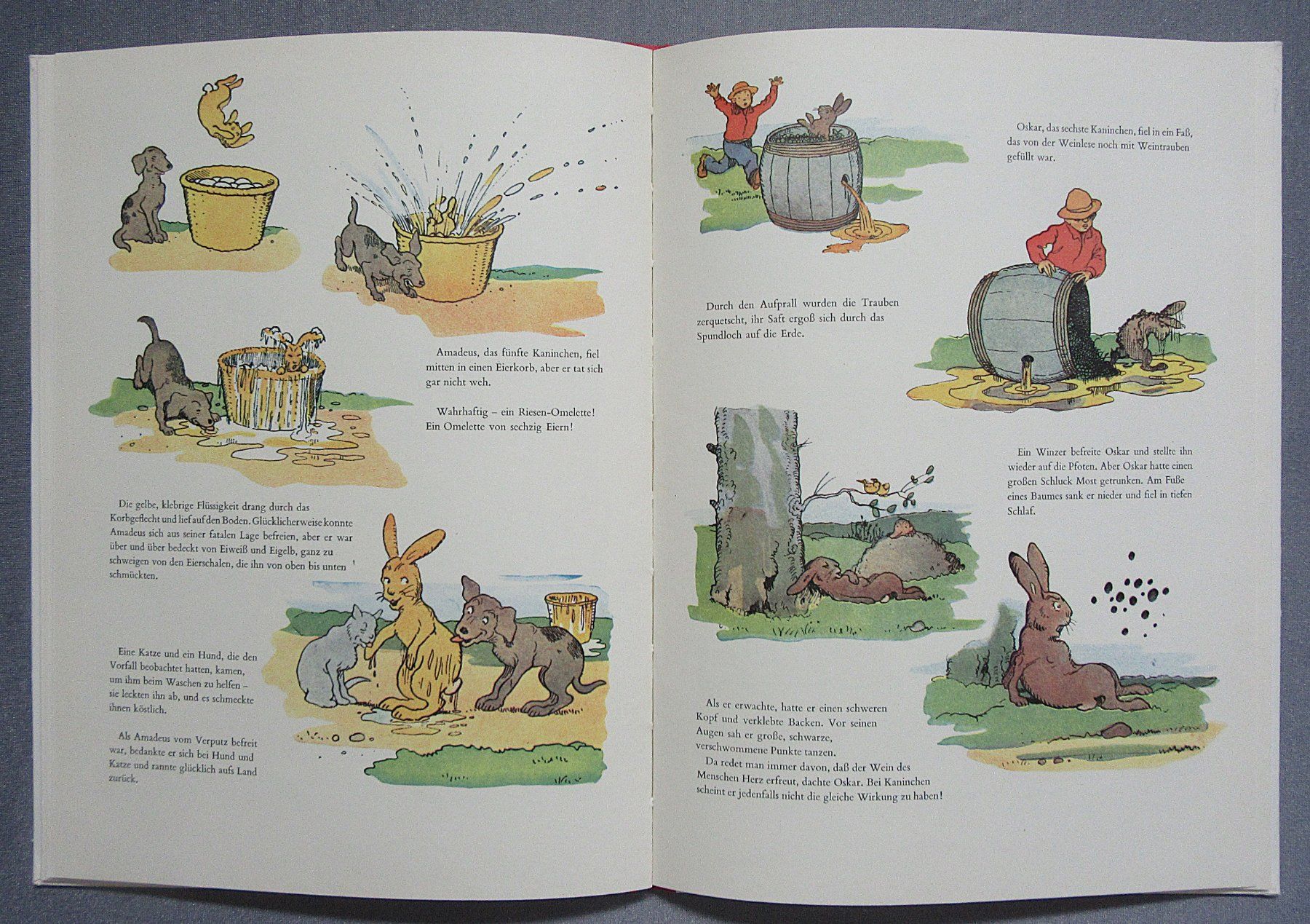 Libri: Gideon im Wald - Ein Diogenes Kinderbuch – Usato da Auenstein venduto da Padabimbim 6