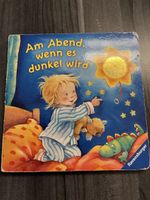 Kinderbuch Am Abend wenn es dunkel wird Ravensburger