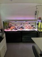 2 Meter Aquarium