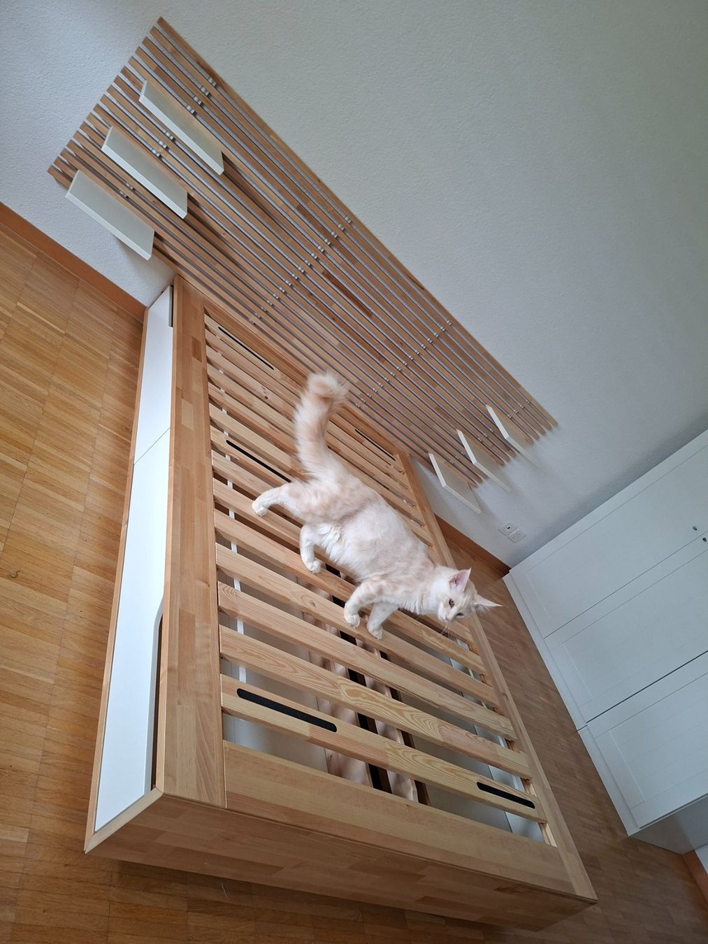 Ikea Letti: Ikea Bett zu verkaufen – Usato da Schwerzenbach venduto da dor_x6pz 3