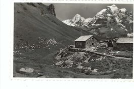 Mürren: Rotstockhütte beim Schilthorn, 1956, Mönch Jungfrau