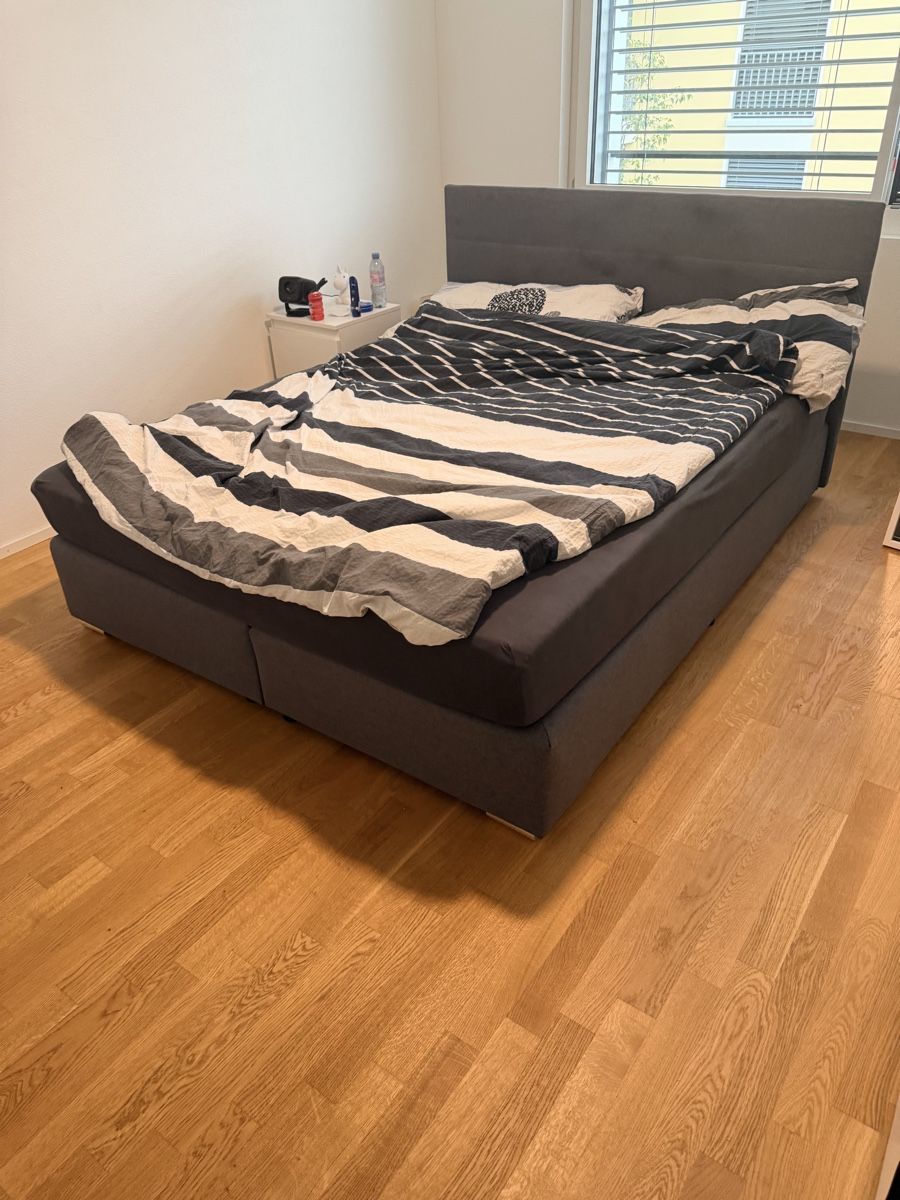 Letti: Boxspringbett grau mit Bettkasten 160x200cm – Usato da Ittigen venduto da Mjs_327 1