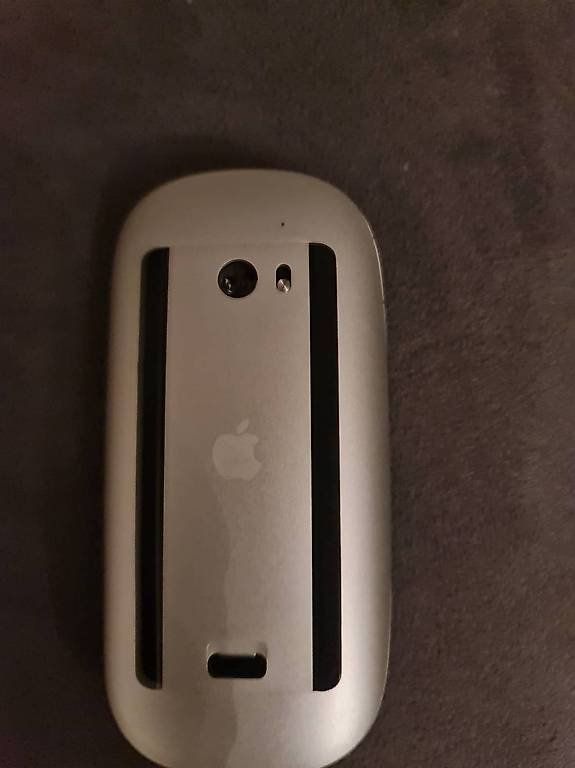 Apple Mouse: Souris Apple à pile – Usato da Crassier venduto da samidesbozart 1