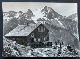 Windgällenhütte mit OBERALPSTOCK, Viehbetrieb, ca. 1950