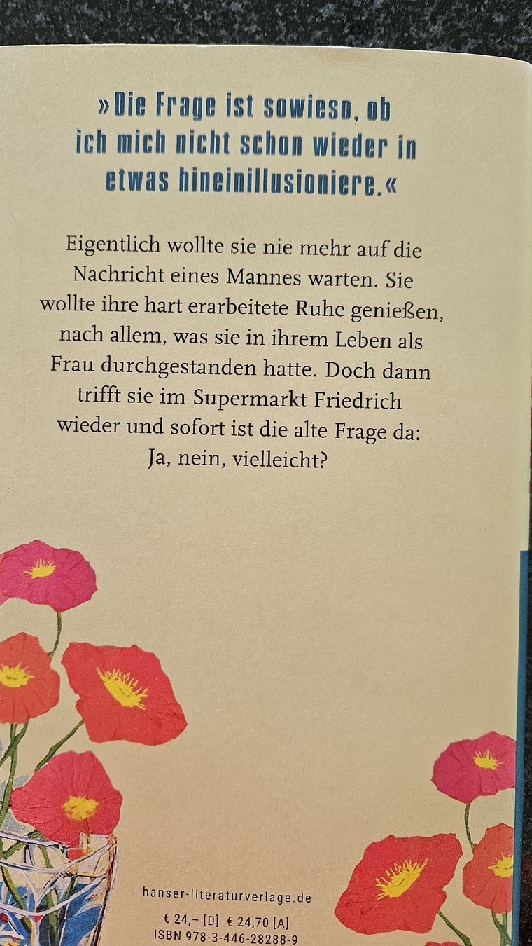 Libri: Buch Doris Knecht Ja, nein, vielleicht  – Usato da Hildisrieden venduto da Schteigeiss 1