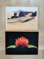 2 Grusskarten Natur (neu)