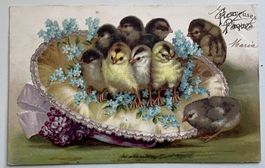 Frohe Ostern / Joyeuses Pâques - Karte mit Küken / Poussins