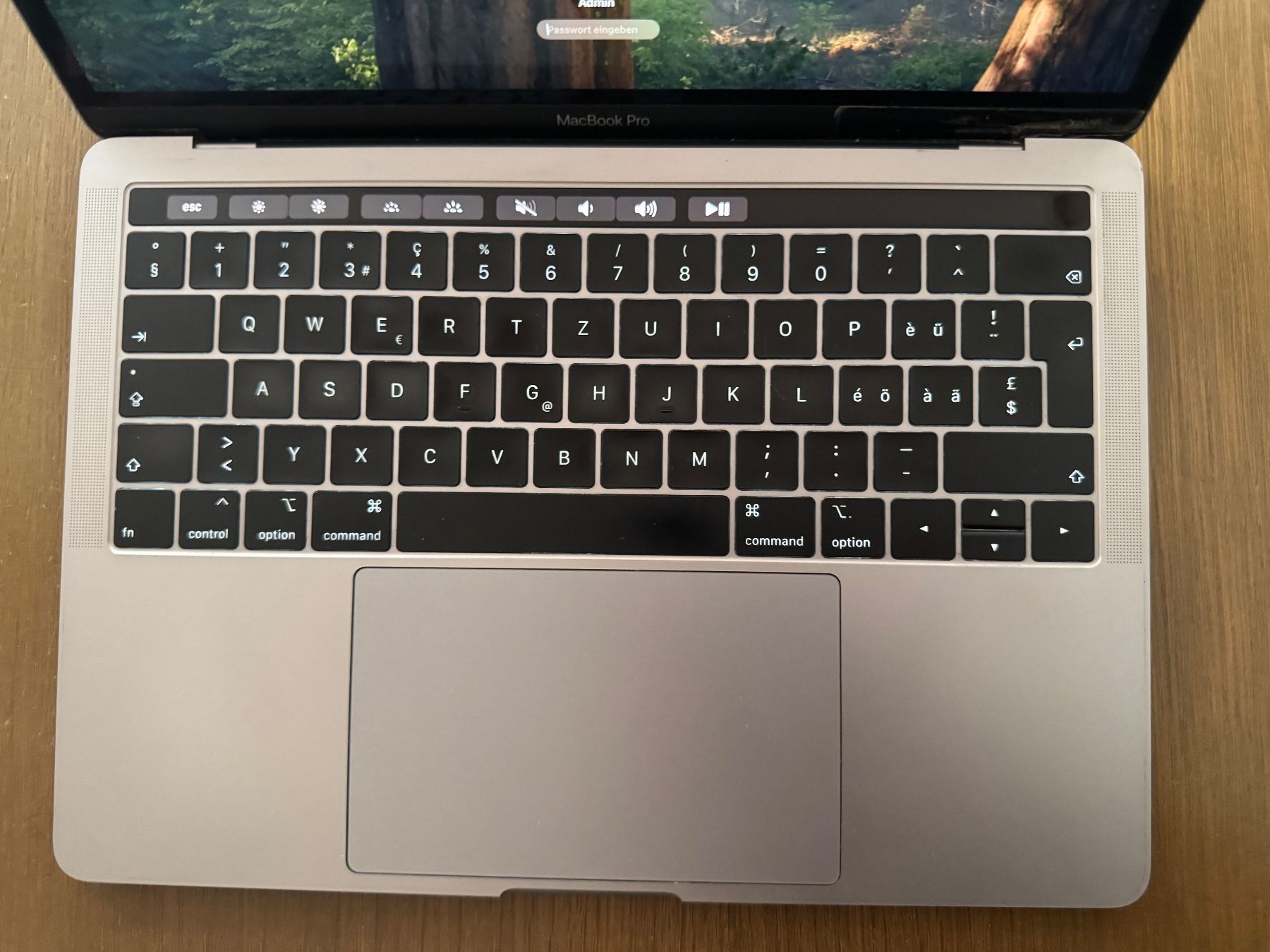 Apple Notebook: MacBook Pro 2018 – Usato da Schänis venduto da Animus1 2