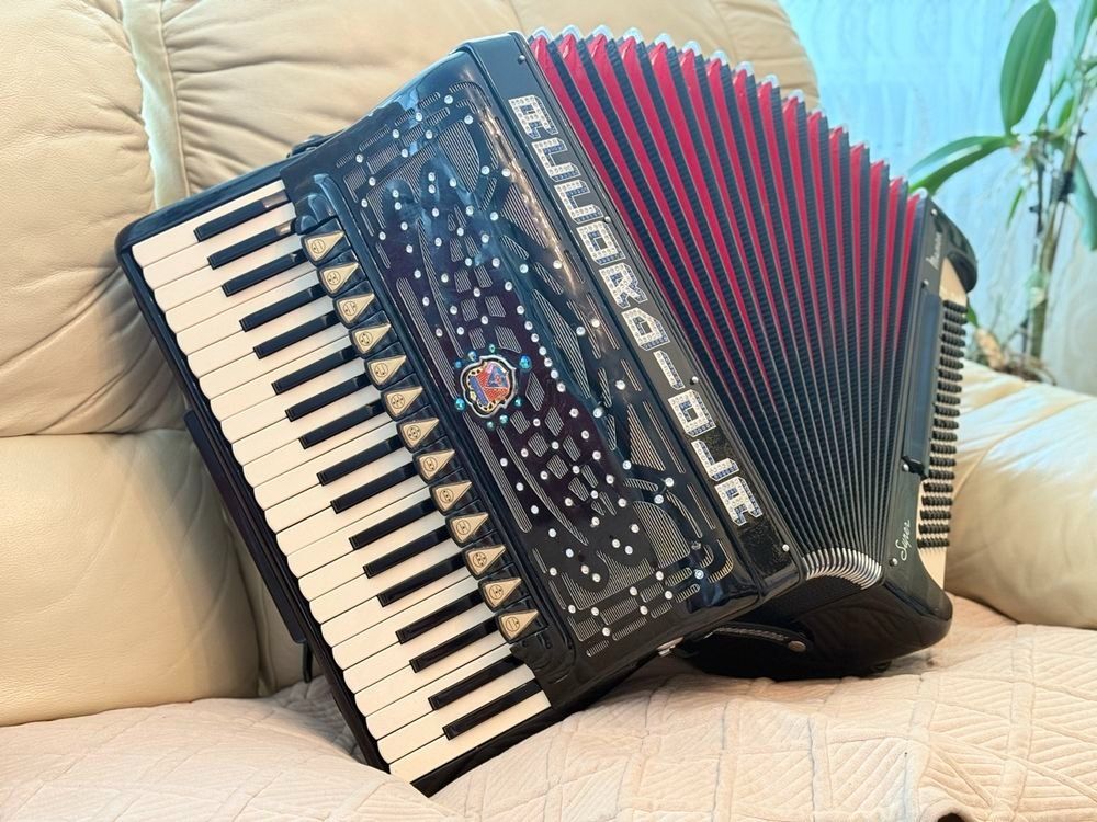 Strumenti musicali: Akkordeon - Made in Italy – Usato da Luzern venduto da wildflower1 1