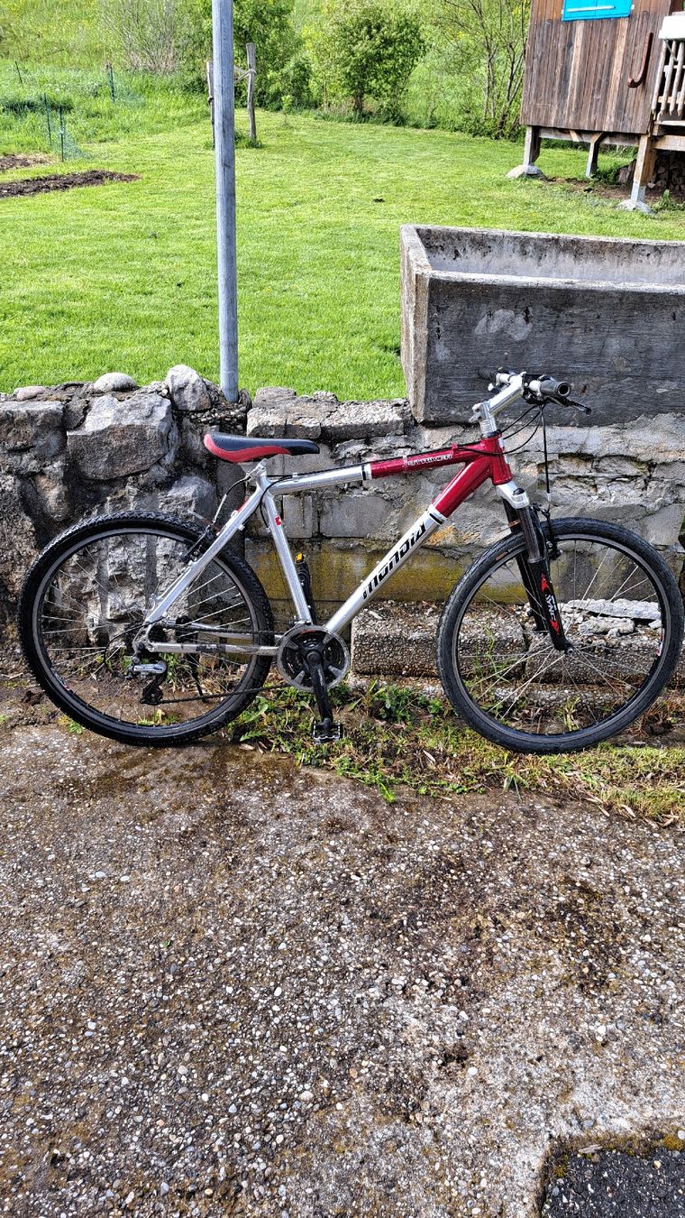 Mondia Biciclette: Velo – Usato da Rumisberg venduto da Forstmichel 1