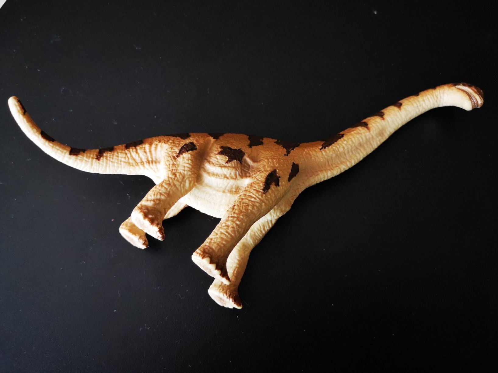 Schleich Giocattoli: Brachiosaurus von Schleich – Usato da Liestal venduto da Gitterli01 2