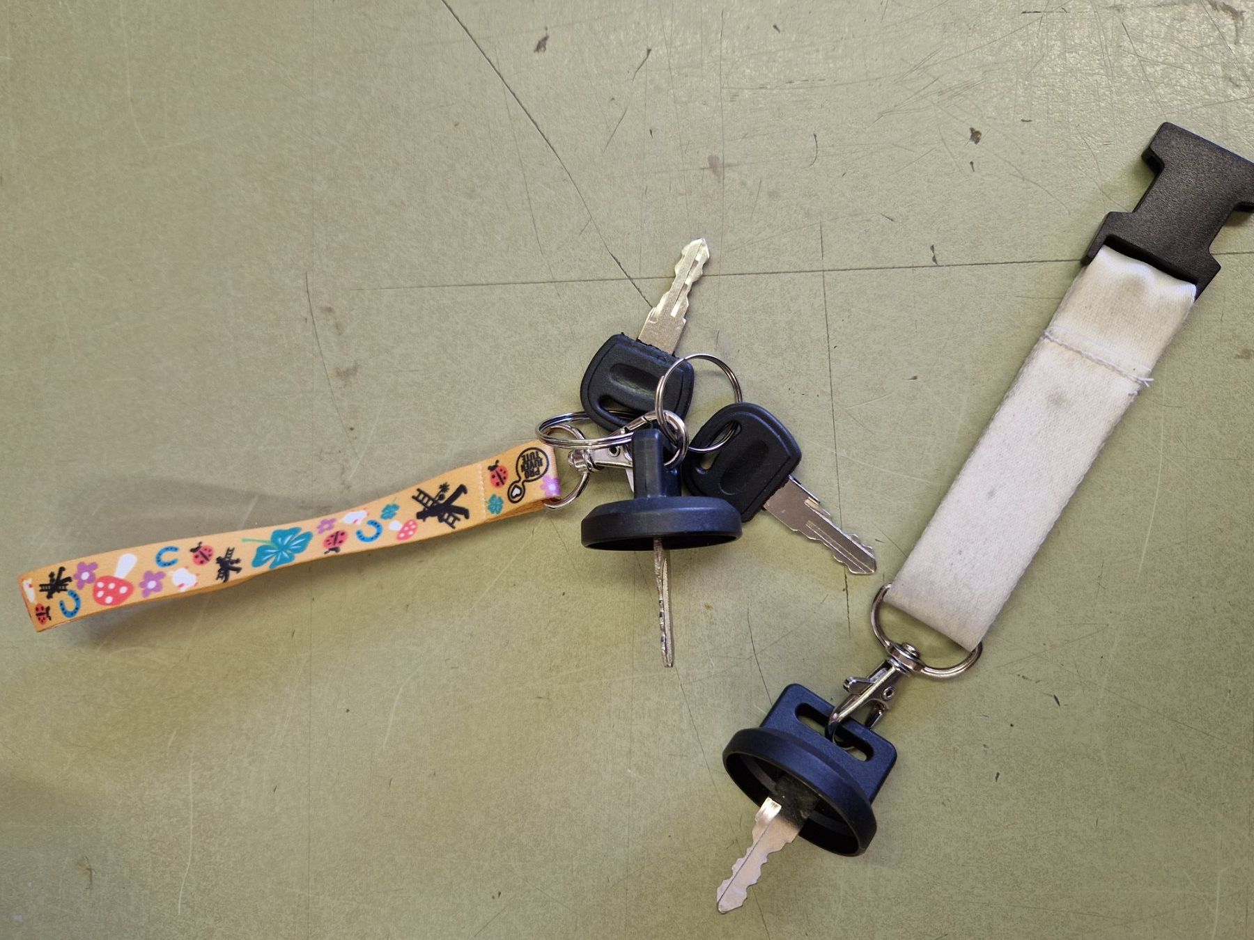 Veicoli elettrici: Forca E- Roller Camper Safety selten Gebraucht – Usato da Zuzwil SG venduto da Dorian67 5