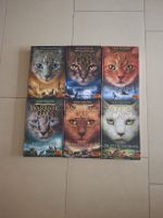 Warrior Cats 🐈 Ganze Staffel 4