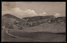 AK Wynigen, Rüdisbach, Ortsansicht mit Feldern und Hügeln