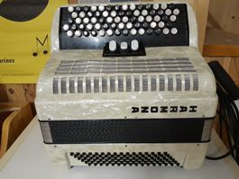 accordéon Armona