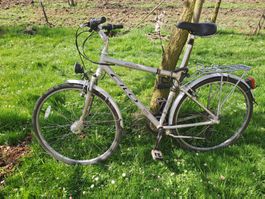 Cilo Trekkingbike Green Valley M, Frühlingspreis 🚲💨