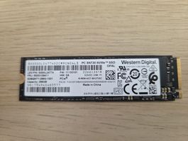 SSD M.2 NVMe 256GB - Western Digital PC SN730
