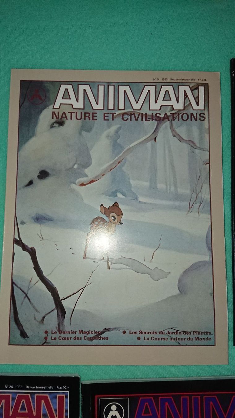 Riviste & Magazine: Animan / 7 Magazines – Usato da Cortaillod venduto da signep 6