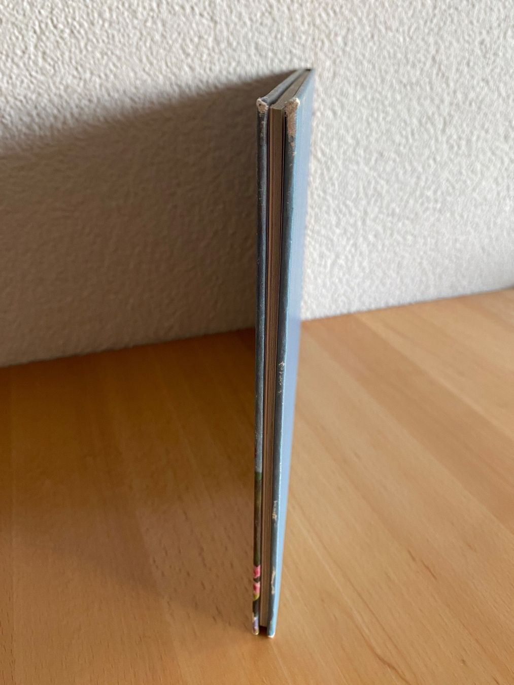 Libri: Mathias und das Schaukelpferd - A.Gentinetta/E.Lenhardt – Usato da Schwarzenburg venduto da Michellu 2
