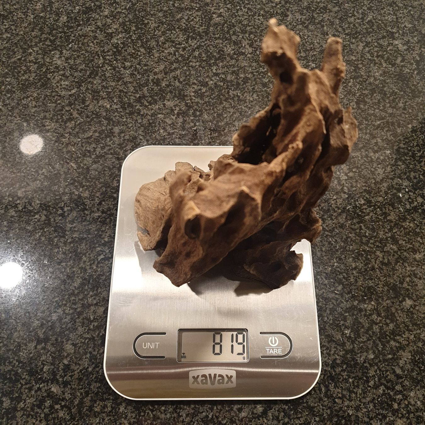 Articoli in legno: Holzwurzel, 21x13cm, 819g – Usato da Neuendorf venduto da DeSiriA 9