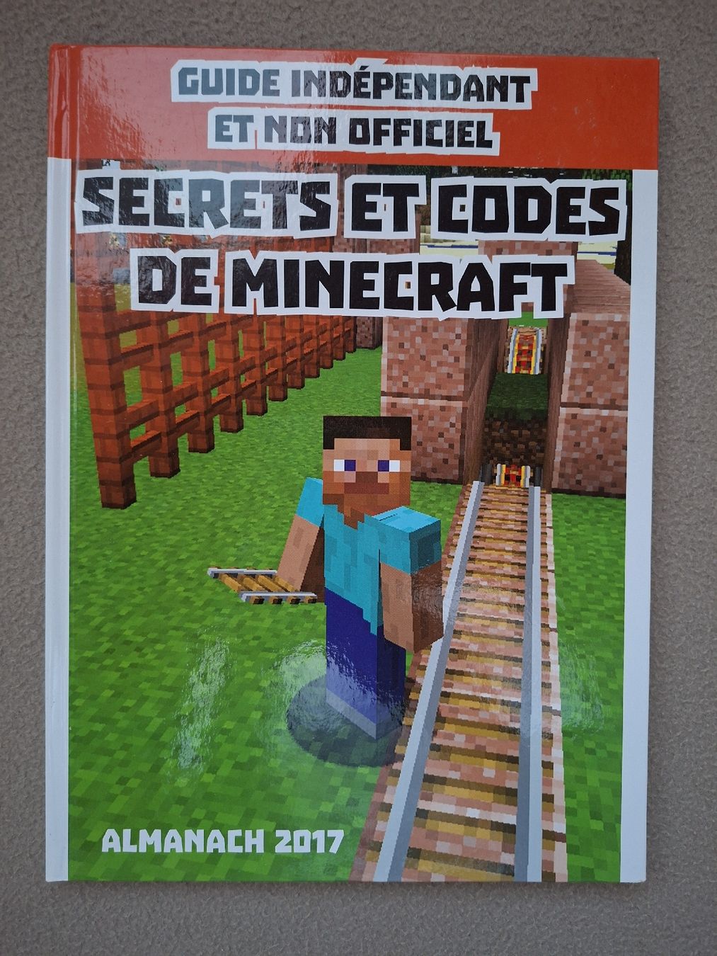Libri: Minecraft Almanach 2017 Secrets et Codes  – Usato da Lausanne venduto da bagadou