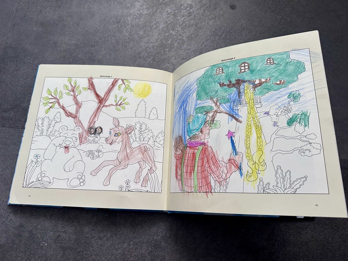 Libri: Papagallo & Gollo Buch mit CD Eiger, Mönch & Jungfrau – Usato da Blumenstein venduto da Thunerin_1987 3