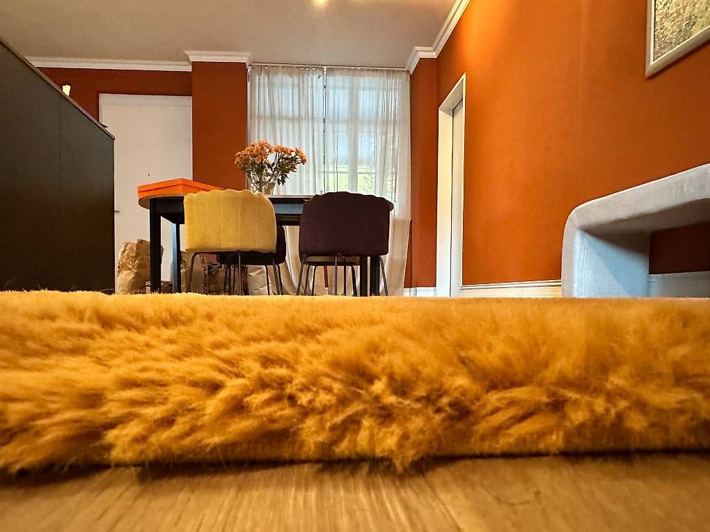 Tappeti: Teppich 200 × 290 cm, Top Zustand – Usato da Zunzgen venduto da Eva_Inimitable 2