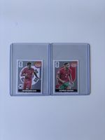 Panini Extra Sticker