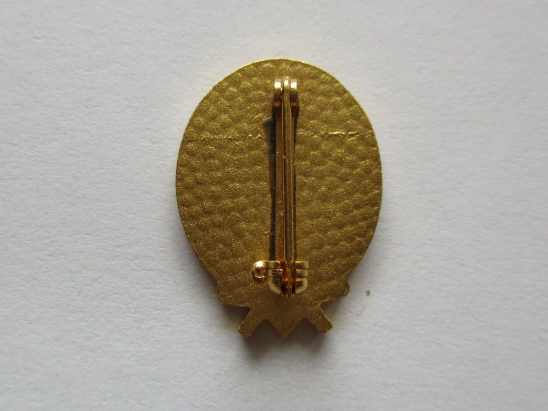 Medaglie: Médaille SAC CAS – Usato da La Sarraz venduto da vic_v6kz 1