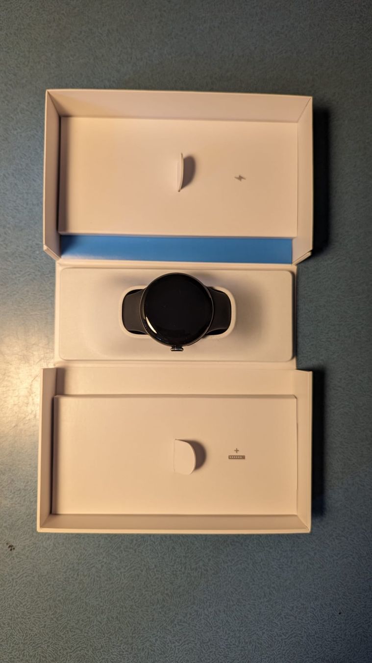 Google Smartwatch: Google Pixel Watch 2 LTE – Usato da Triesenberg venduto da ste_s5wz 6