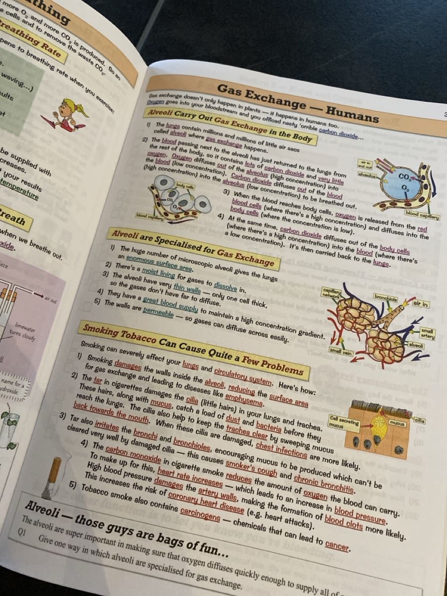 Libri: Biology CGP Edexcel International GCSE – Usato da Seuzach venduto da freiheiten 2