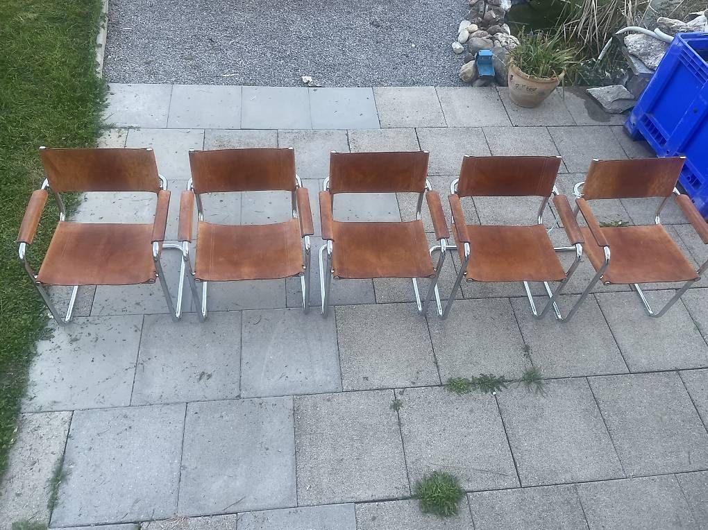 Stühle: 3 Leder Freischwinger – Gebraucht aus Hombrechtikon von leo_r5wr 1