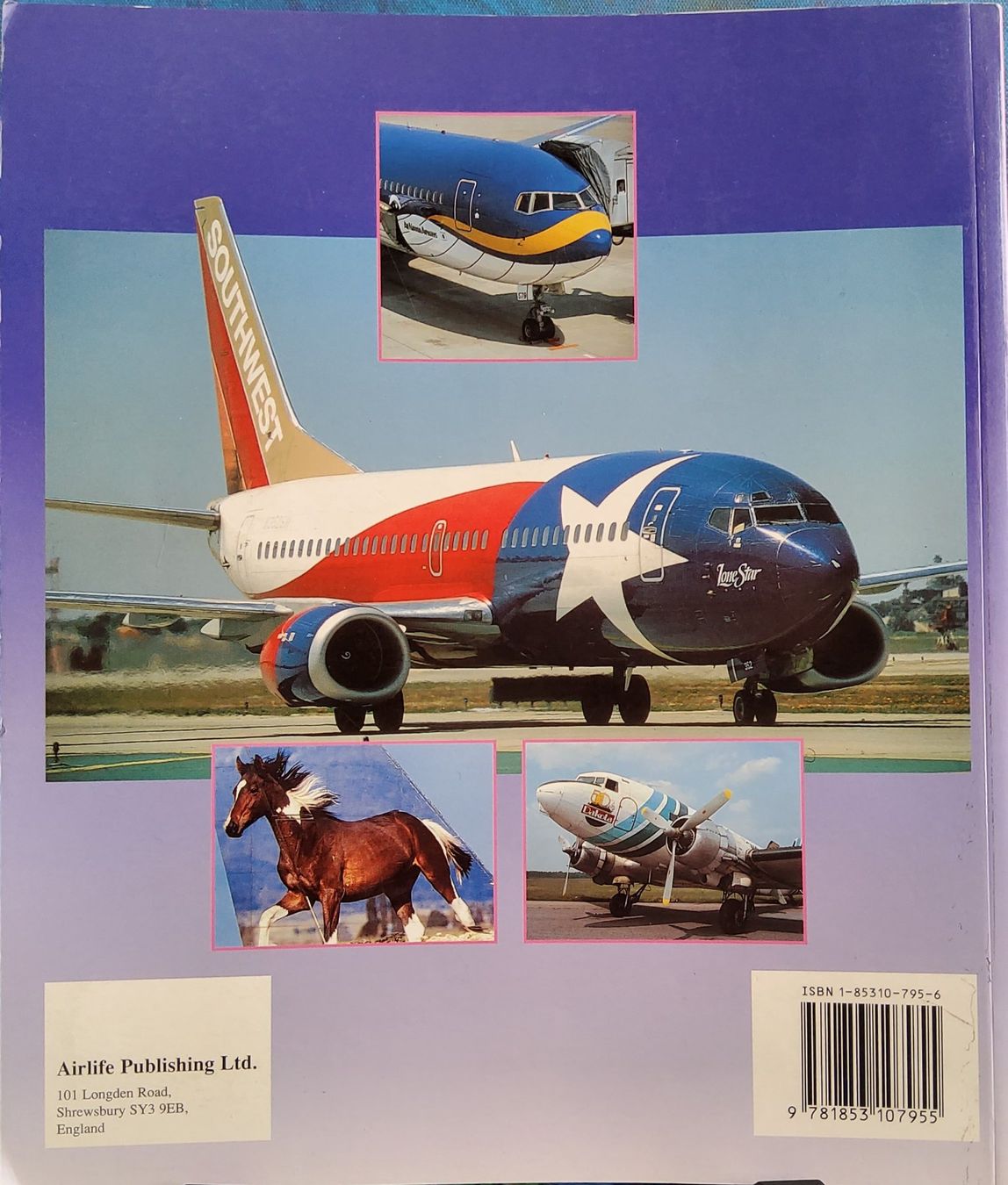 Riviste & Magazine: Buch DREAM SCHEMES 1997 Englisch – Usato da Grüningen venduto da VENOM59 4